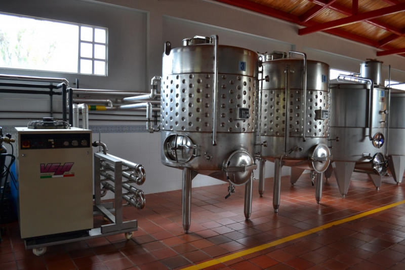 cave-RIANS-min_wine_production_cantine_winery_drink_alcohol_vine_beverage-902036